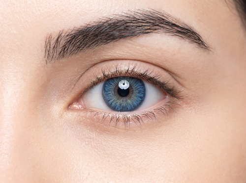 Blue Colored Contact Lenses
