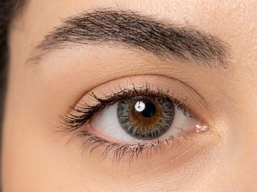 Gray Colored Contact Lenses