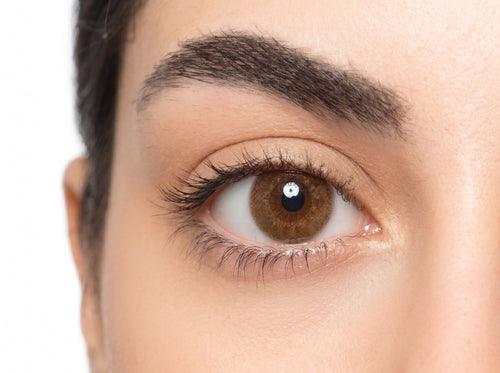 Jewel Brown Colored Contact Lenses