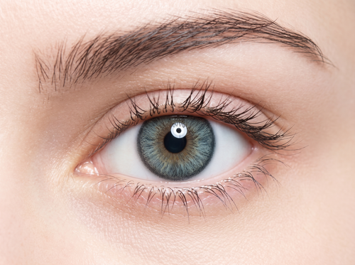Marine Colored Contact Lenses
